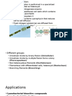 Nitogen Fixation by Cyanobacteria