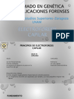 Electroforesis_capilar_rpc