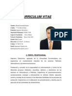 Curriculum Vitae-Harold Guzman Ramirez