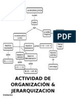 Actividad de Organización y Jerarquización 