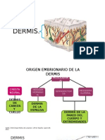 Expo Dermis