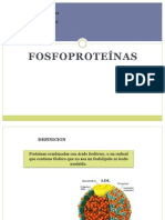 Fosfoproteinas FINAL