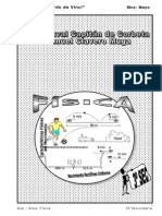Mayo - Fisica - 3ro