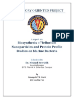Laboratory Oriented Project: Biosynthesis of Tellurium Nanoparticles and Protein Profile Studies On Marine Bacteria