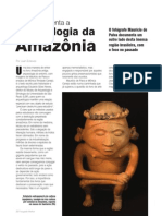 Arqueologia Da Amazonia