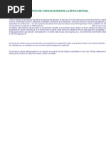 Signcomp Full Product Guide PDF | PDF