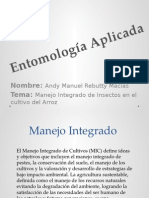 Entomologia Rebutti