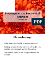 Bioenergetics and Biochemical Reactions