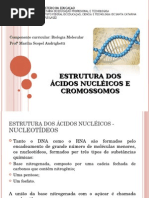 1º Aula - Estrutura Dos Ácidos Nucléicos e Cromossomos