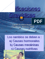 Modificaciones Gravídicas