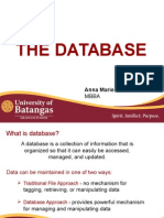 The Database MIS Report