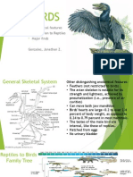 Evolution of Reptiles to Birds Paleontology