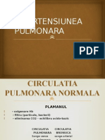 Hipertensiunea Pulmonara