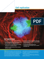 CHP 4 Cell Replication