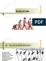 Apuntes Sobre La Evolucion Humana 2.0