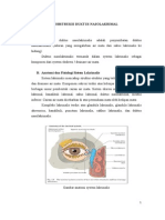 89605253-obstruksi-duktus-nasolakrimalis.doc