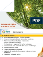 Calefacciyn Con Biomasa 09 02 2012 1