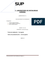 1-Informe de Metalurgia General