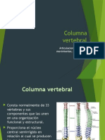 Columna Vertebral