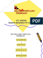 Metabolisme Purin Dan Pirimidin