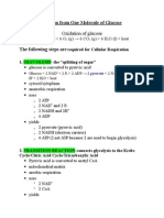 Cellular Respiration and ATP