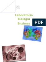 Lab Biologia Enzimas