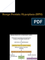 BPH and Treatment