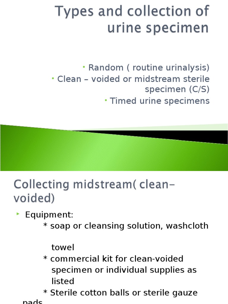 Types and Collection of Urine Specimen PDF Urine Penis