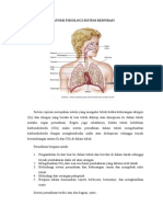 Anatomi Fisiologi Sistem Respirasi