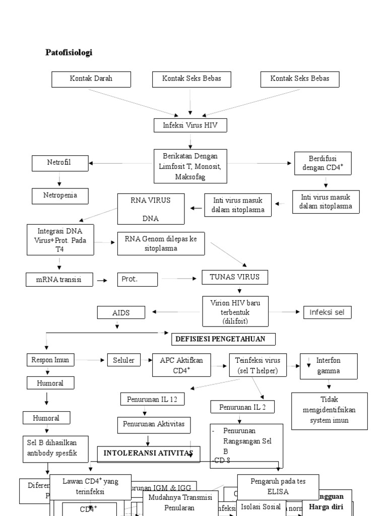 Patofisiologi HIV | PDF