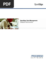 Progress OpenEdge Database Administration