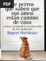 Sheldrake Rupert de Perros Que Saben Que Sus Amos Estan Camino de Casa
