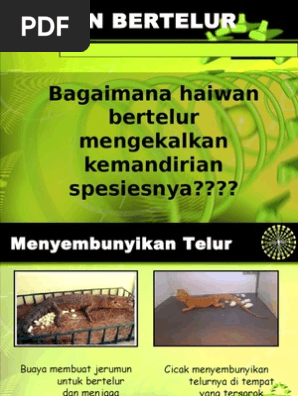 Haiwan Bertelur Pdf