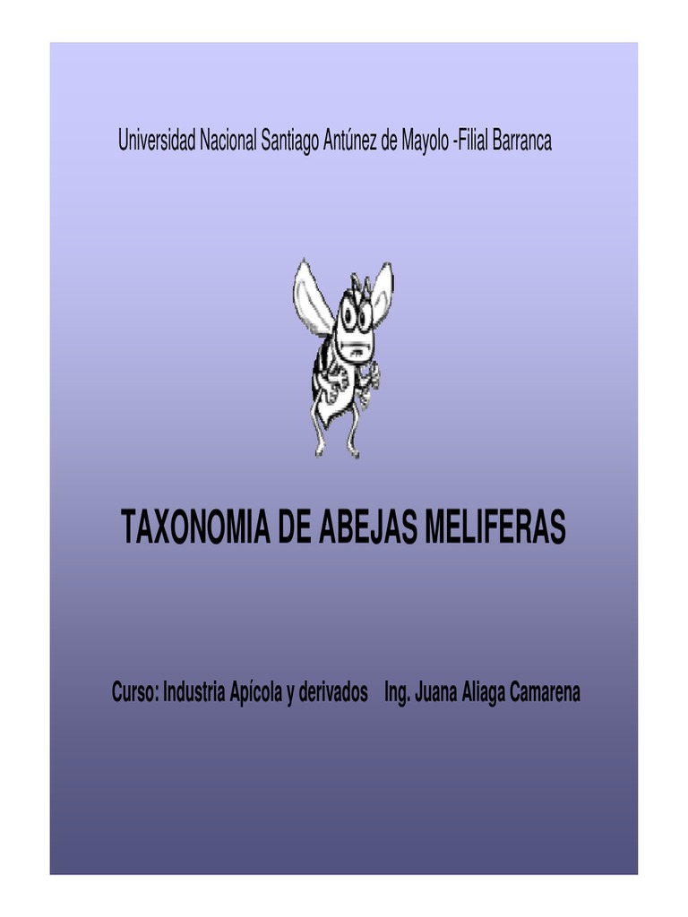 Taxonomia de La Abeja Melifera Western Honey Bee Insectos