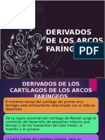 Derivados de Los Arcos Faríngeos