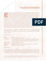 Instructivo de Foliacion de Documentos (3)