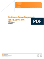 Realizar Un Backup Programado Con SQL Server 2005