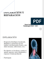 01-inflamacion