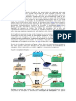 O Ciclo Do Nitrogênio