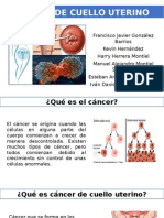 Cáncer de Cuello Uterino Nosotros