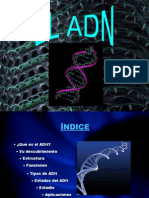 El ADN