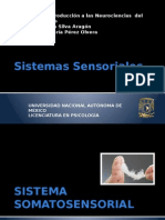 Sistemas Sensoriales