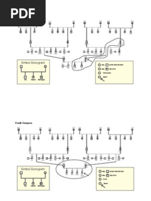 Family Genogram