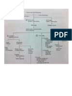 Skema Proteinurea 2011