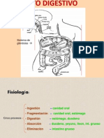 2b Aparato Gastrointestinal PDF