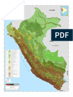Mapa Cobertura Vegetal Peru