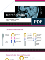 Metencefalo