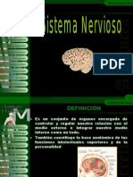 172592816 Sistema Nervioso