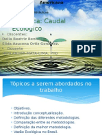 Caudal Ecológico