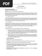 2do trabalho de obras hidraulicas.pdf